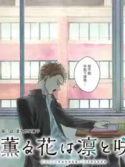 一起去露营吧户外真人秀在线看